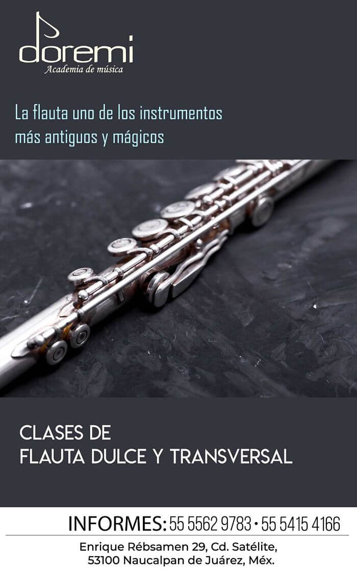 Clases de flauta dulce y transversal